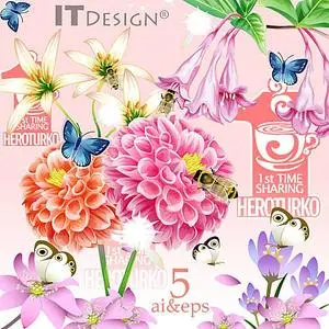 IT Design Flowers & Insects
