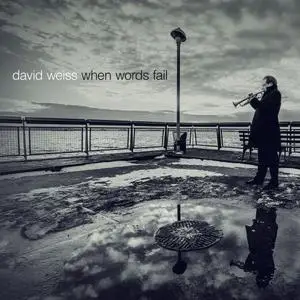 David Weiss - When Words Fail (2014) [Official Digital Download]