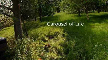 Carousel of Life (2014)