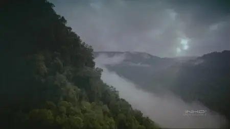 IMAX - Tropical Rainforest (1992)