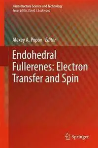 Endohedral Fullerenes: Electron Transfer and Spin (Nanostructure Science and Technology)