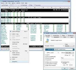 Erics TelNet 98.13.0.3724 SSH 