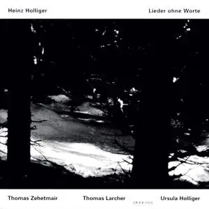 Thomas Zehetmair, Thomas Larcher, Ursula Holliger - Holliger: Lieder ohne Worte (1996)