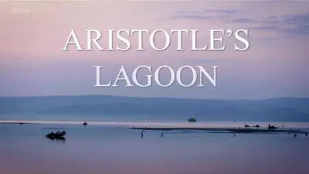 BBC - Aristotle's Lagoon (2010)