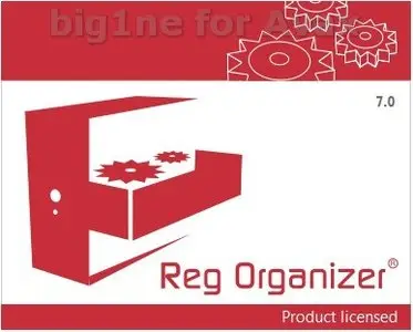 Reg Organizer 7.11 + Portable