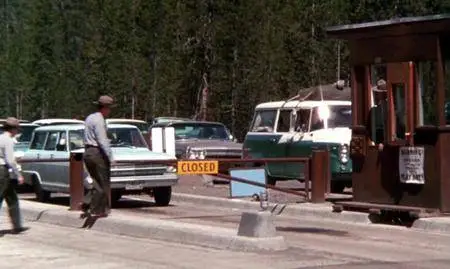 Yellowstone Cubs (1963)