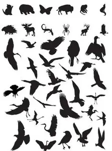 Silhouettes Vector