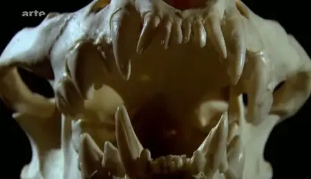 (Arte) Le mystère des éléphants géants (2012)