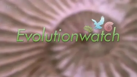 BBC - Evolutionwatch: Learning Zone (2015)