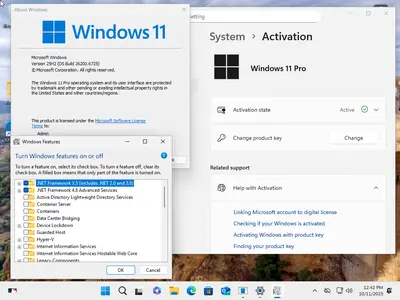 Windows 11 Pro 25H2 Build 26200.6725 (No TPM Required) With Office 2024 Pro Plus Multilingual Preactivated