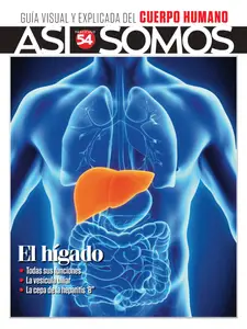 Así Somos El cuerpo humano - 15 Septiembre 2025