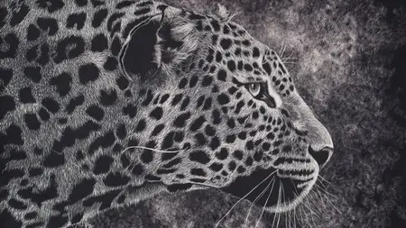 The Art of Scratchboard