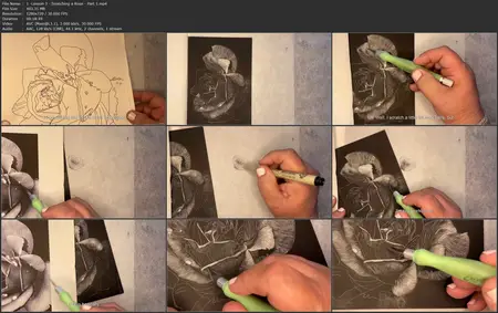 The Art of Scratchboard