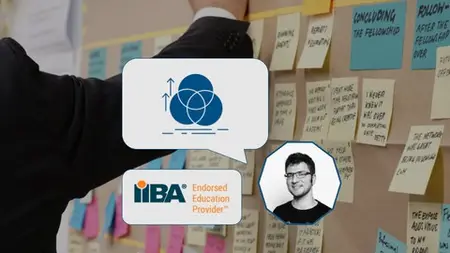 Introduction To Business Agility (Iiba® Endorsed)