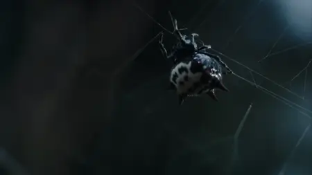 Nightmares of Nature S01E01