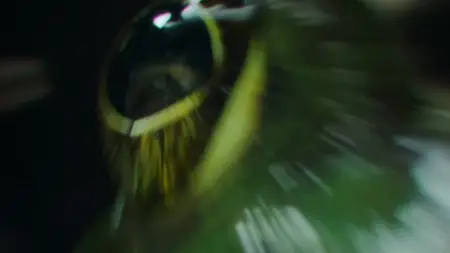 Nightmares of Nature S01E01