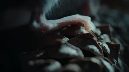 Nightmares of Nature S01E01