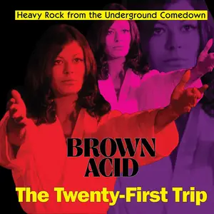 VA - Brown Acid - The Twenty First Trip (2025) [Official Digital Download 24/48]
