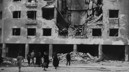 PBS - Auschwitz: The Inside Man (2020)