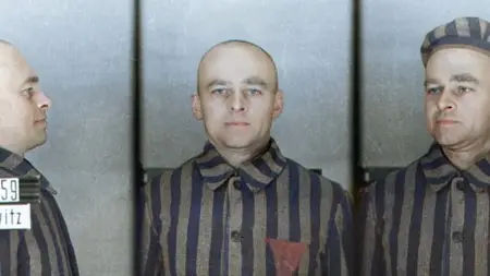 PBS - Auschwitz: The Inside Man (2020)