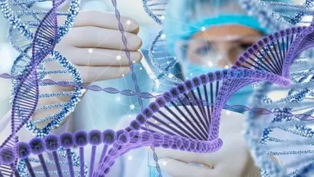 Gene Editing: Principles, Techniques, And Applications