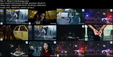 Criminology and Criminal Psychology | Certified CSI+ Course