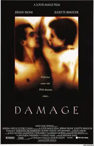 Damage (1992) [Dual Audio]