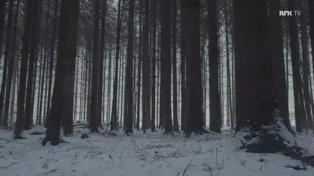 NRK - Hell: The History of Norwegian Black Metal (2020)