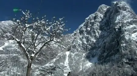 UKTV - Let It Snow (2010)