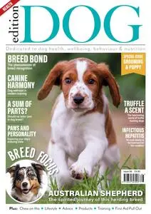 Edition Dog - Issue 66 - 30 March 2024