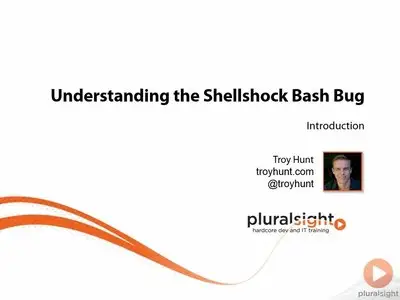 Understanding the Shellshock Bash Bug