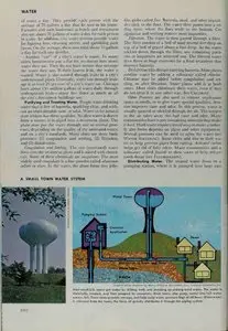 The World Book Encyclopedia "WXYZ" Volume