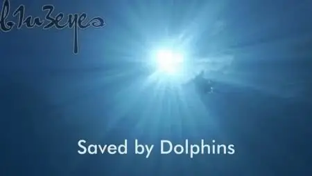 BBC Natural World - Saved by Dolphins (2008)