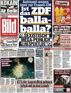 Bild vom Freitag, 12. Juli 2013