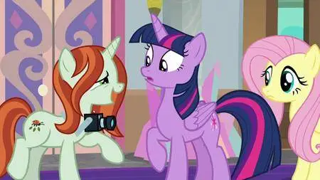 My Little Pony: L' Amicizia E' Magica S08E13