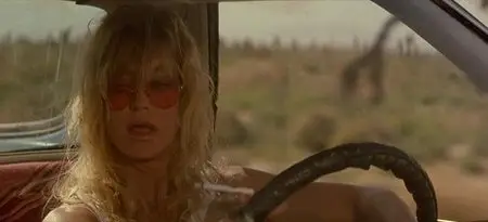 (Comedy drama) The Banger sisters / Sex fans des sixties [DVDrip] 2002