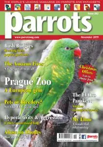 Parrots - November 2019