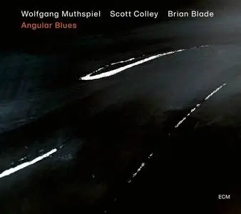 Wolfgang Muthspiel, Scott Colley, Brian Blade - Angular Blues (2020)