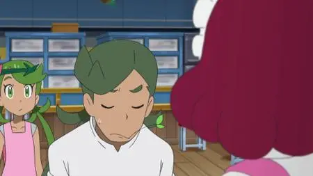 Pokémon S21E29