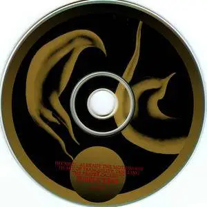 Purple Trap - Decided... Already the Motionless Heart of Tranquility, Tangling the Prayer Called  "I" (1999) {2CD Tzadik}