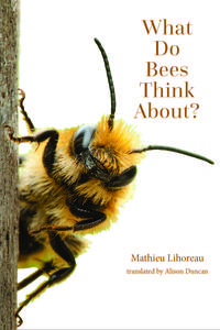What Do Bees Think About?: What Is a Bee? (The World of Animals)