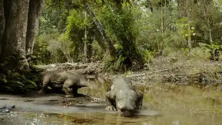 ABC - Dinosaurs Of The Frozen Continent (2022)