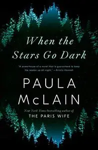 When the Stars Go Dark: A Novel