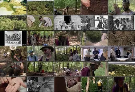 Escape to the Great Dismal Swamp (2018)