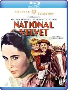 National Velvet (1945)