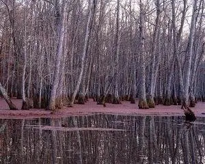 Super Widescreen Nature HQ Wallpapers Collection episode(14)
