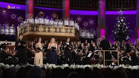 Christmas in Vienna 2013 [HDTV 720p]