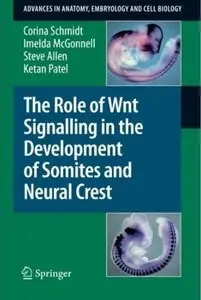 The Role of Wnt Signalling in the Development of Somites and Neural Crest [Repost]