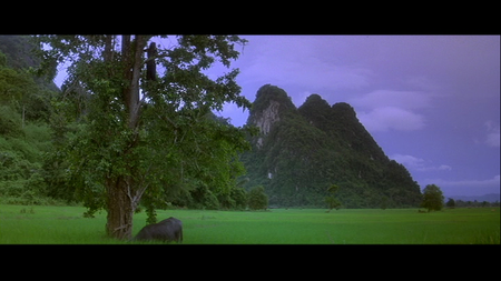 Heaven & Earth (1993) [DVD9] [2004]