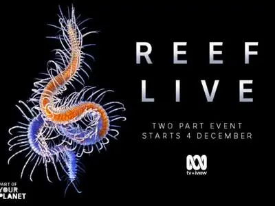 ABC - Reef Live (2020)